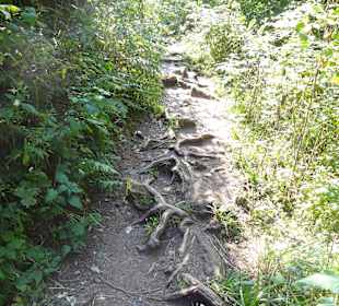 Wanderweg Wutachschlucht