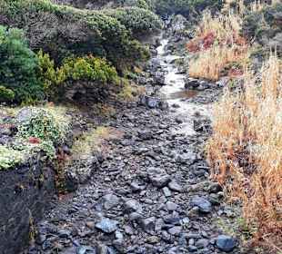 Inselrundfahrt Faial