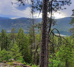 ...tolle Grünfarben!