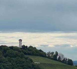 Wandern Ratsch an der Weinstraße