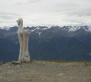 Schönjoch 2500 Meter