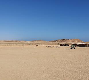 Wüstentour Marsa Alam
