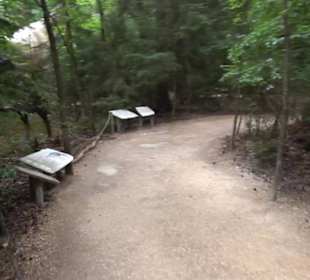 Dinosaurier Museum Altmühltal