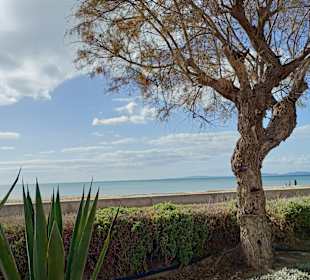 Strandpromenade Playa/Platja de Palma 