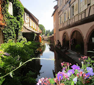  Altstadt Wissembourg