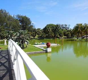 Blick von einer Brücke auf den See