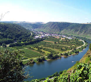 Moseltalbrücke Koblenz