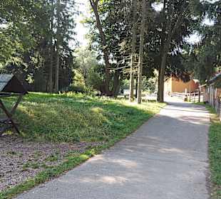 Wildpark Osterzgebirge