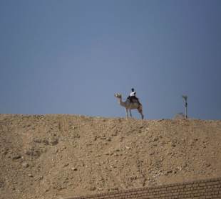 Polizist auf Kamel an den Pyramiden