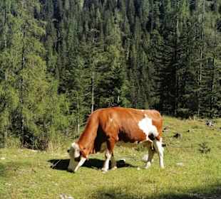 Wandern Radstadt