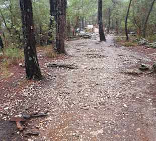Fußweg vom Parkplatz zum Adlerauge