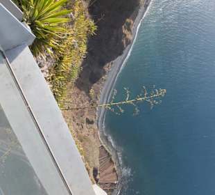 Küste neben dem Skyview.