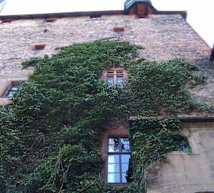 Außenansicht und Umgebung