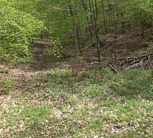 Wandertour durchs Reissenbachtal Oberhausen