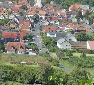 Weinbergwanderung am Johannisberg in Thüngersheim