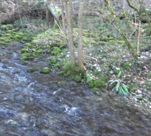 Bad Uracher Wasserfall