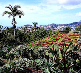 Botanischer Garten