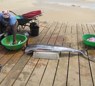 Fangfrischer Fisch Steg Santa Maria