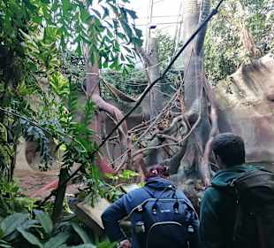 Zoologischer Garten Prag