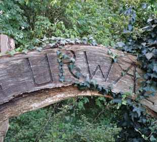 Eingang zum Neuenburger Urwald