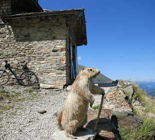 Schutzhaus Neubau 2.175 m