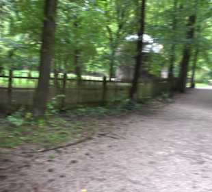 Amalienburg