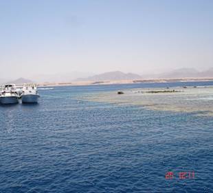 Jackson Reef