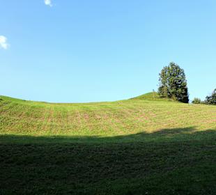 Wandern Reith im Alpbachtal