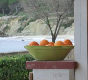 Ausblick von derTerrasse