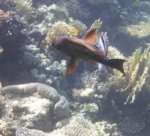 Ausflug mit Joseph&Marlen