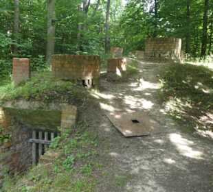Zabelstein-Wanderung: Köhlermeiler