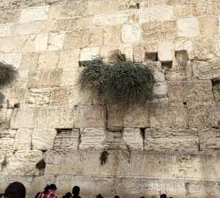 An der Klagemauer
