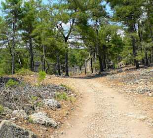 Weg zur Ruine von Lybre/Seleukeia