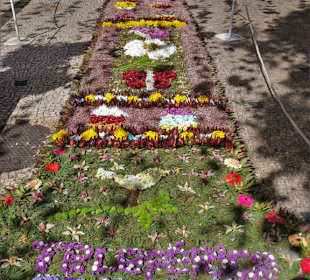 Blumentapete auf der Straße