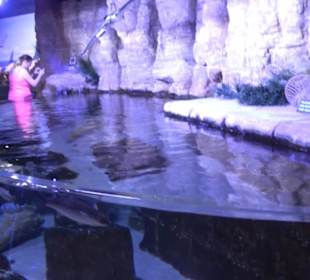 National Aquarium Malta