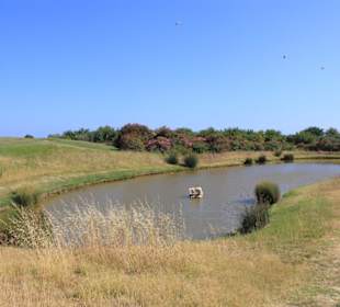 Blick in das Naturschutzgebiet