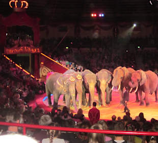 Elefantenschow
