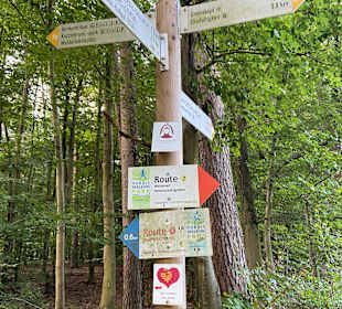 Wandern Bernkastel-Kues