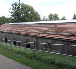 Haupt- und Landgestüt Marbach