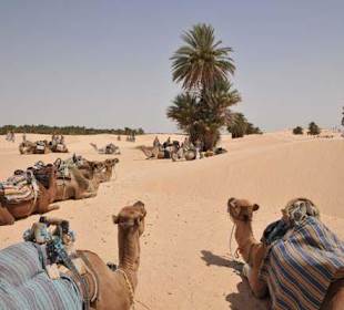 Reitpause am Rand der Wüste.
