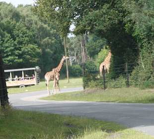 Serengeti Park Hodenhagen