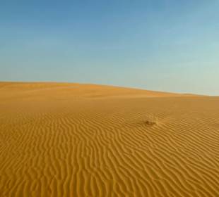 Spaziergang in der Wüste 