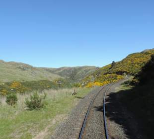 Mitder Taileri Railway durch die Natur Neuseelands