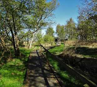Eindrücke vom Schwimmenden Moor
