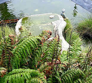 Parque Chino de Miraflores