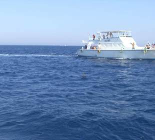 Ausflug Giftun Insel