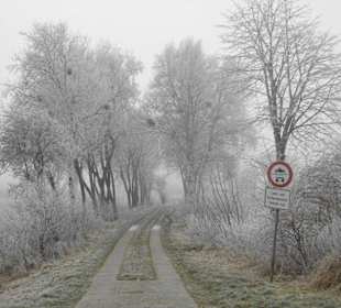 Ein Winterbild vom Ostroher & Süderholmer Moor...