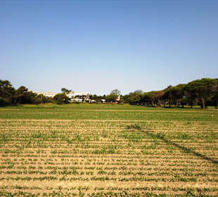 Naturschutzgebiet dei Pini