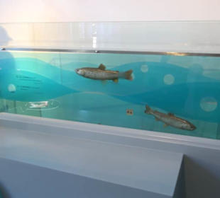 Museum Natur und Mensch