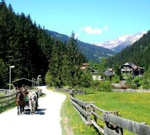 Das Hoteldorf "Grüner Baum"